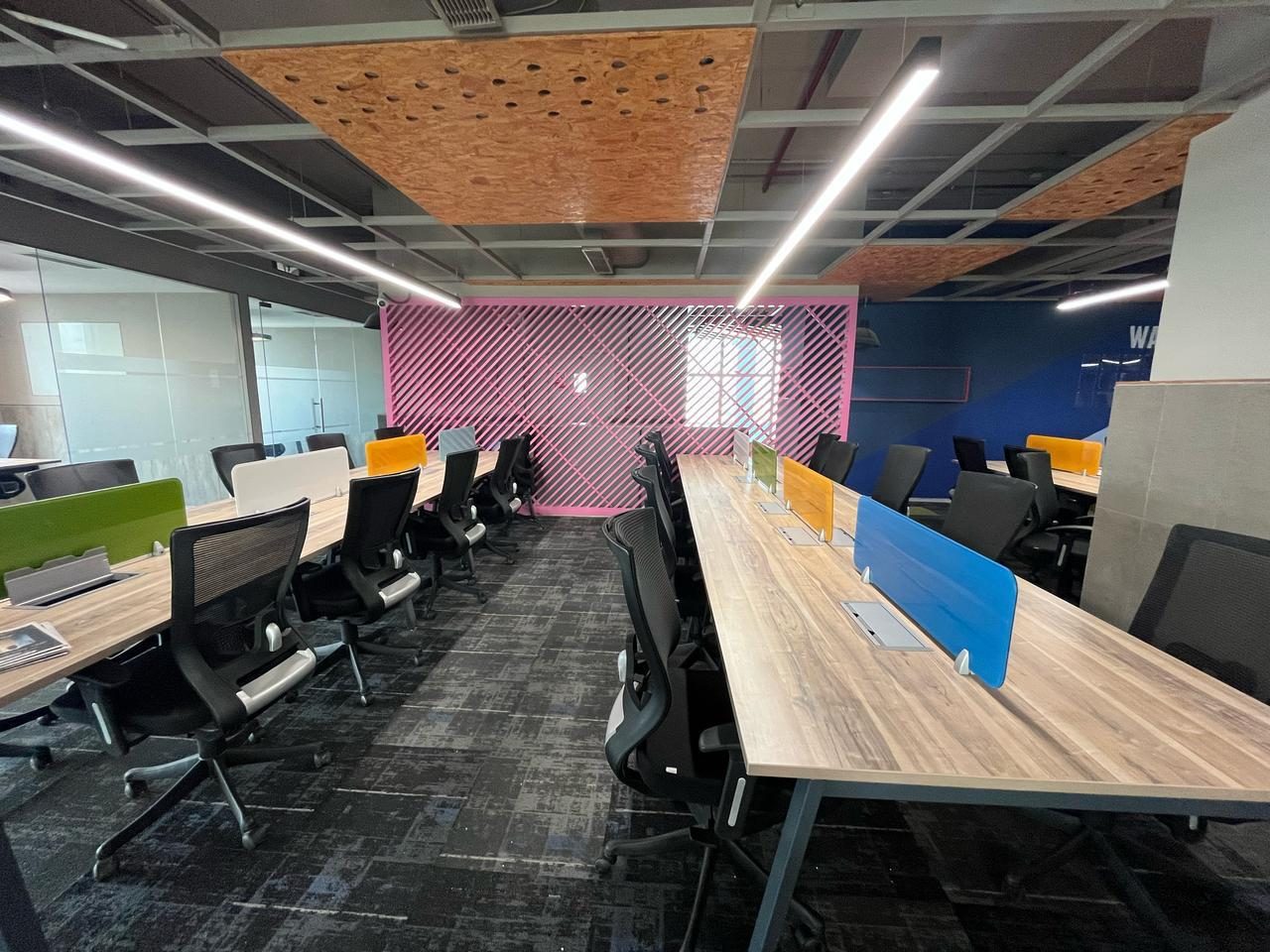 Open-plan office with colourful accent wall